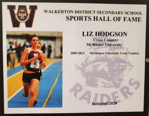 Liz Hodgson - 2020